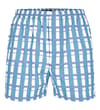Thumbnail Blue, teal and white check boxer shorts, front view.